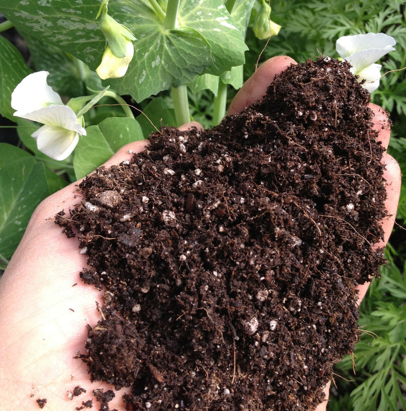 Vitality premium soil blend handheld sample photo